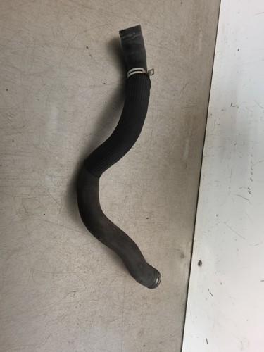 Renault scenic water coolant - water,