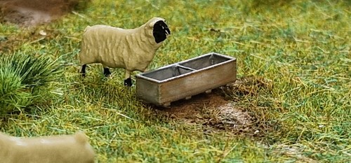 Gauge livestock 4ft - oo, water