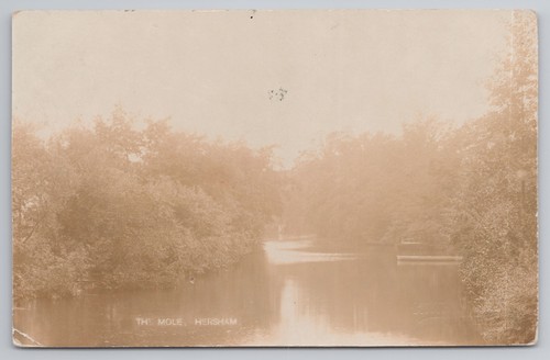 Hersham river mole - hersham,